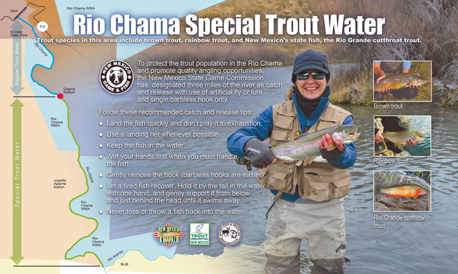 New Special Trout Waters On Rio Chama New Mexico Trout