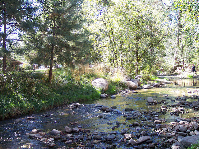 Rio Ruidoso Reclassification as ‘Cool Water’ Stream – New Mexico Trout