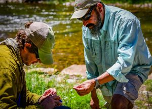 project healing waters hat